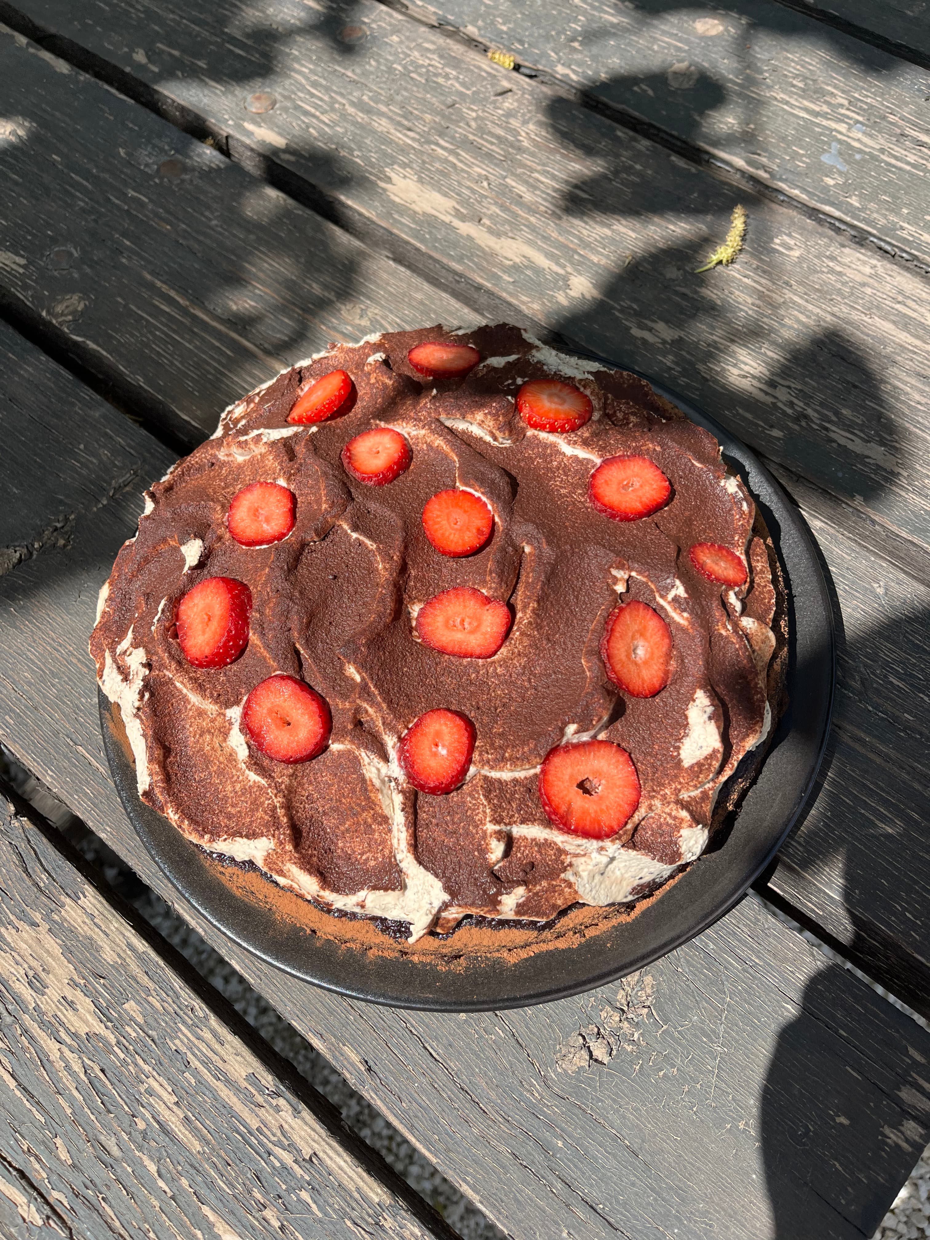Tiramisu Cake 